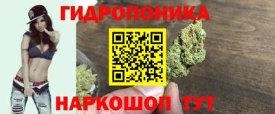 герыч Тула