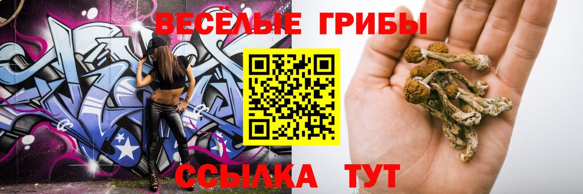 Богданович  Галлюциногенные грибы прущие грибы  Вход с VPN 